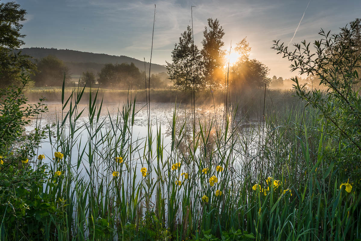HJK_22260_20150518_063004 06:30 Uhr - Nikon D800, 1/60 s bei Blende 18, ISO 100, 24 mm