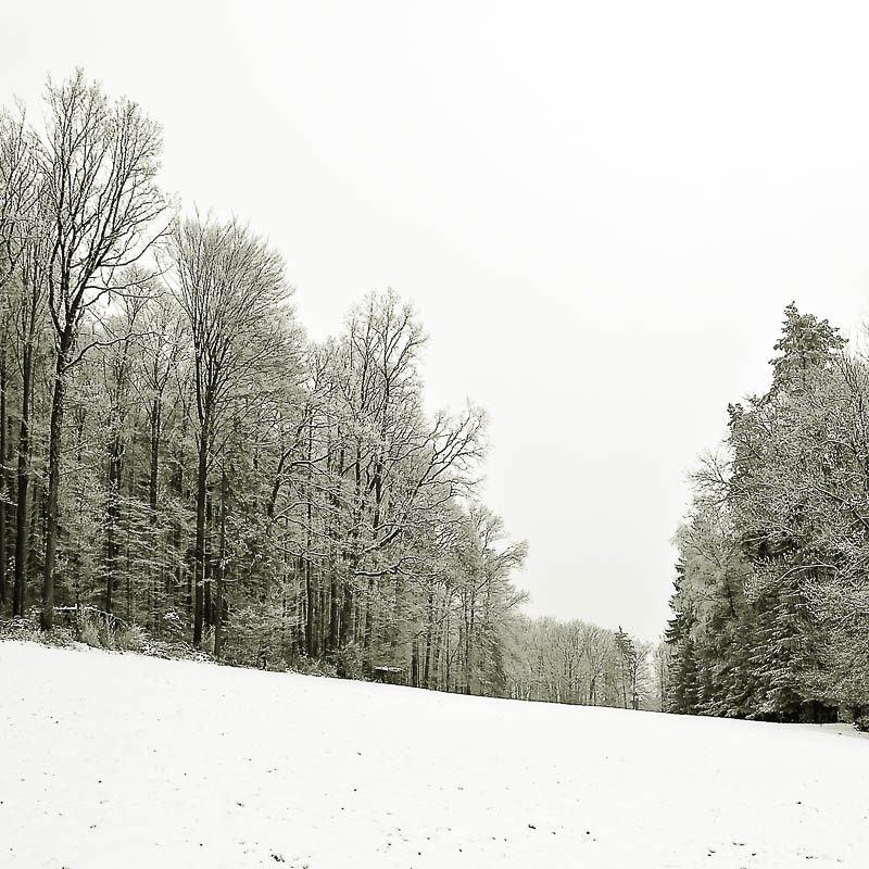 Winterimpressionen