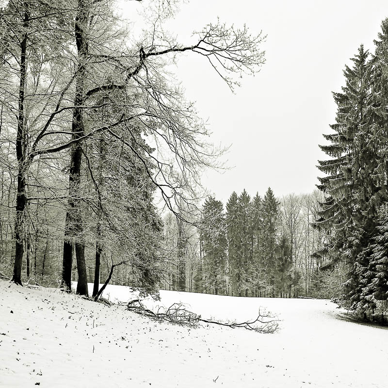 Winterimpressionen