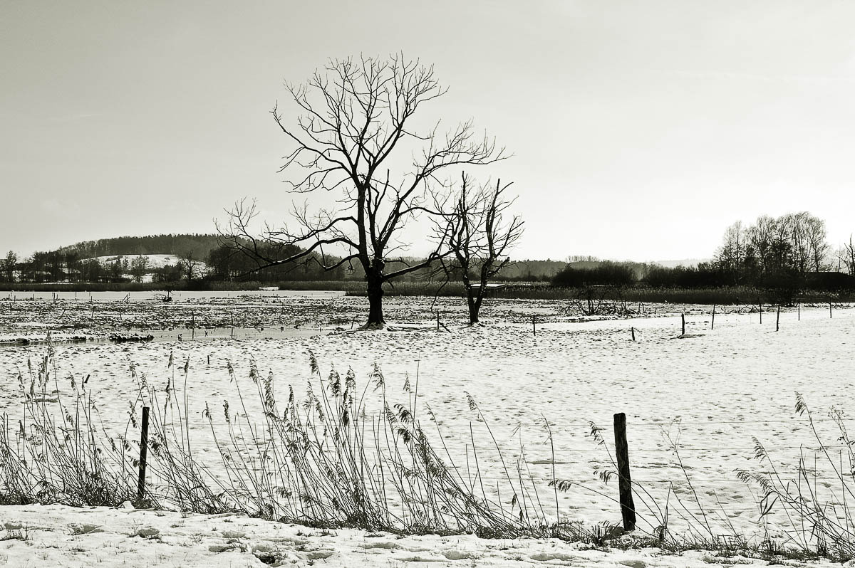 Winterimpressionen