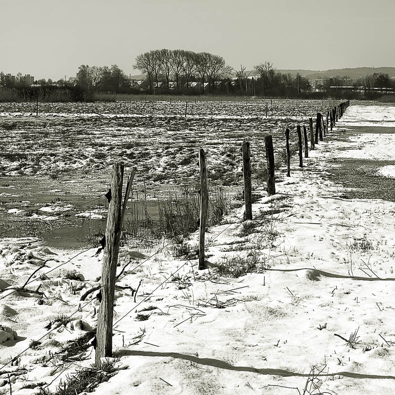 Winterimpressionen