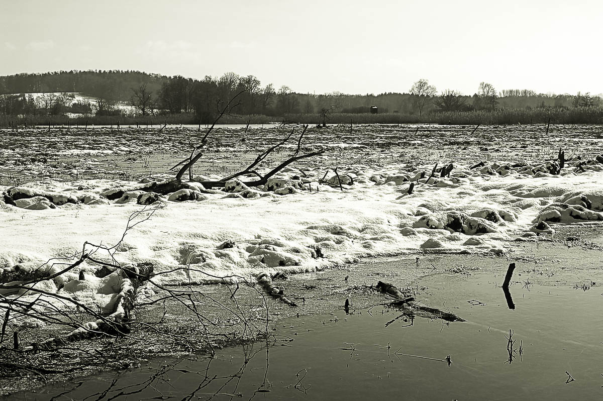 Winterimpressionen