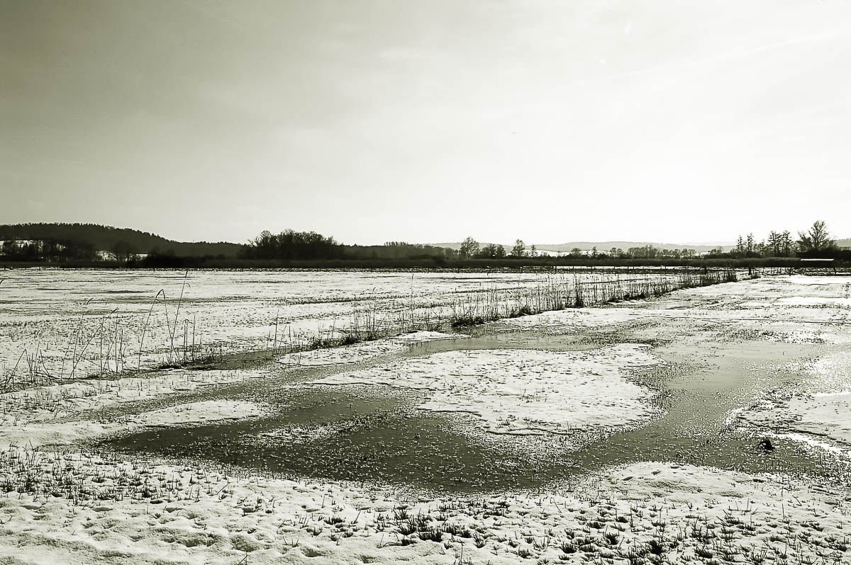 Winterimpressionen