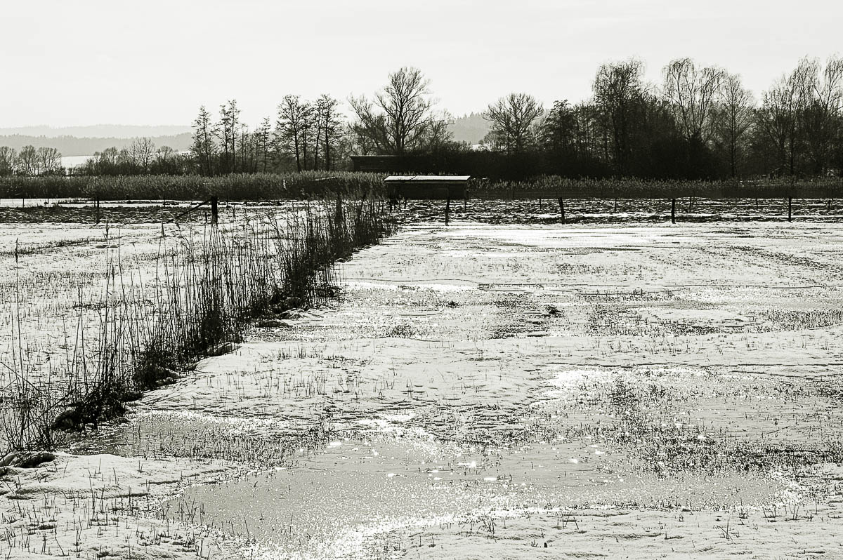 Winterimpressionen