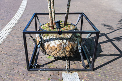 Der Letzte seiner Art